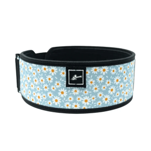 Wight Lifting Belts